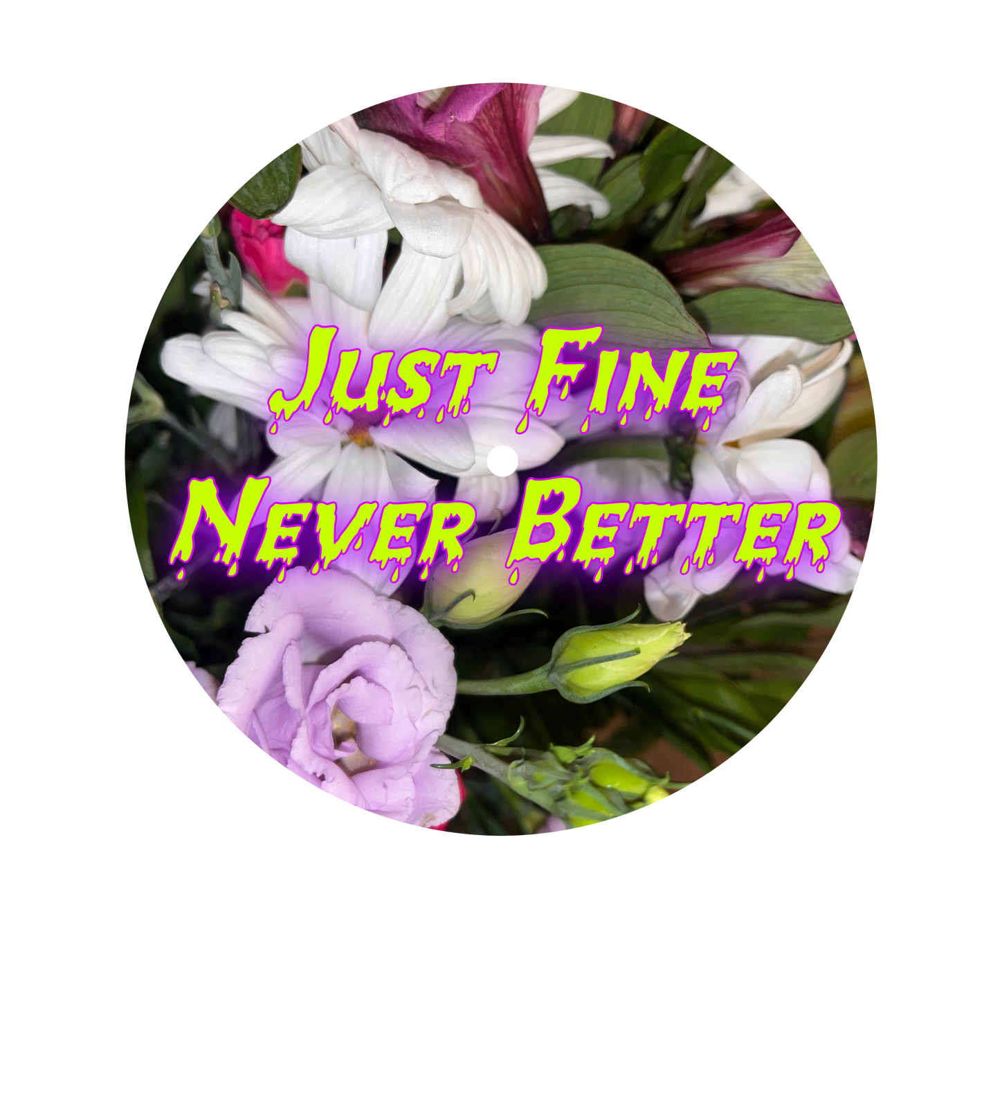 RSR CA-005 - Fruit Flies/Just Fine Never Better